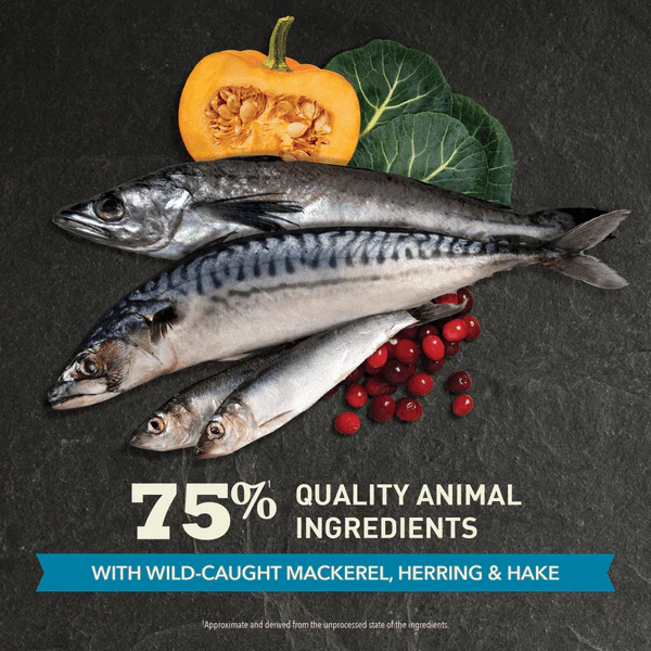 ACANA Highest Protein Pacifica Dry Cat Food - Image 4