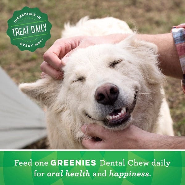 Greenies Original Large Dog Dental Treats - Image 6