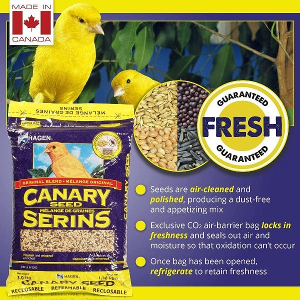 Hagen Canary Staple VME Seed - Image 3