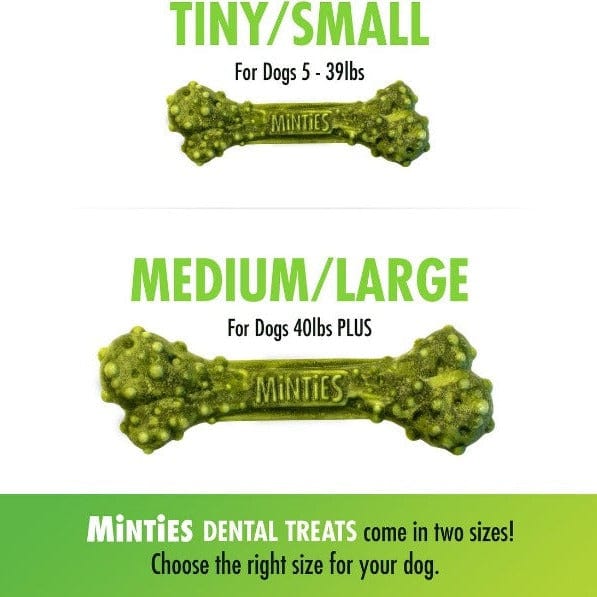 Minties Medium/Large Dental Bones for Dogs - Image 3